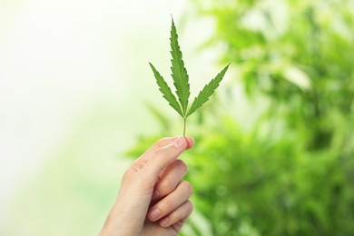 Photo of Woman holding hemp leaf on blurred background