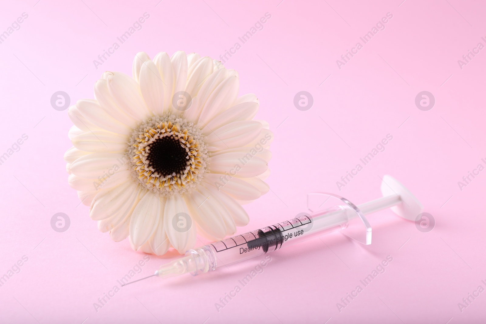 Photo of Cosmetology. Medical syringe and gerbera flower on pink background