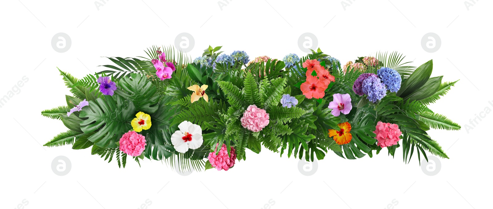 Image of Beautiful composition with tropical leaves and flowers on white background. Banner design