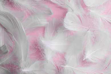 Photo of Many fluffy bird feathers on pink background, flat lay