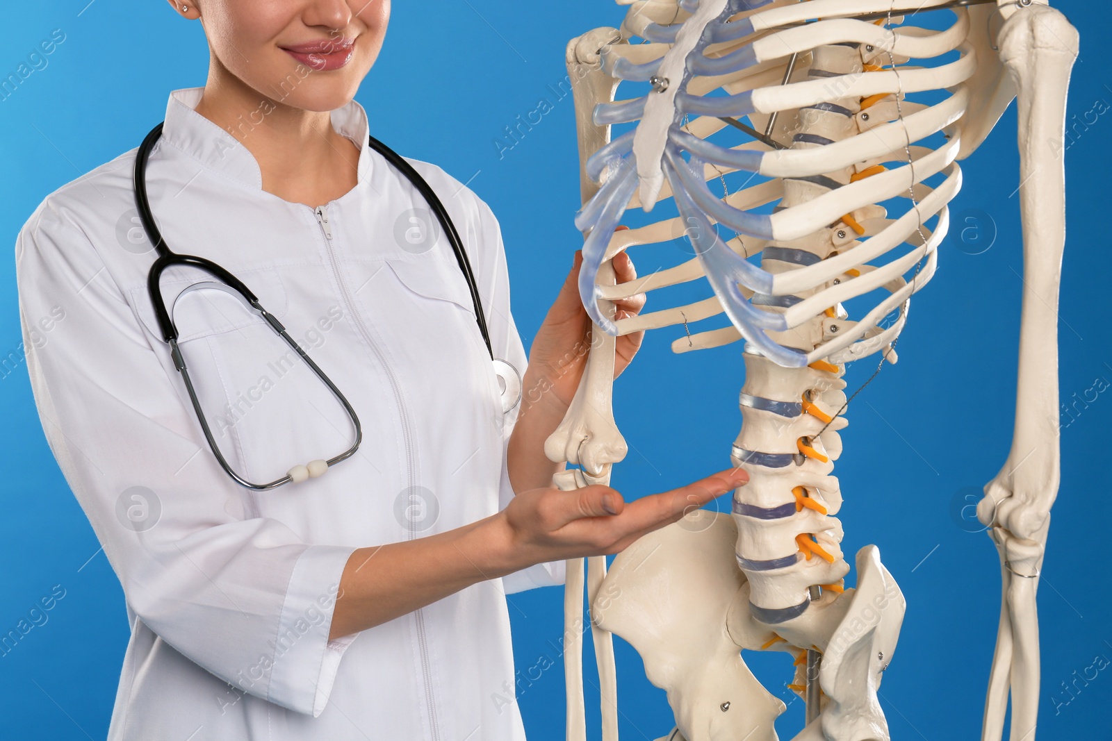 Photo of Female orthopedist with human skeleton model on blue background, closeup