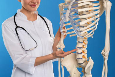 Photo of Female orthopedist with human skeleton model on blue background, closeup