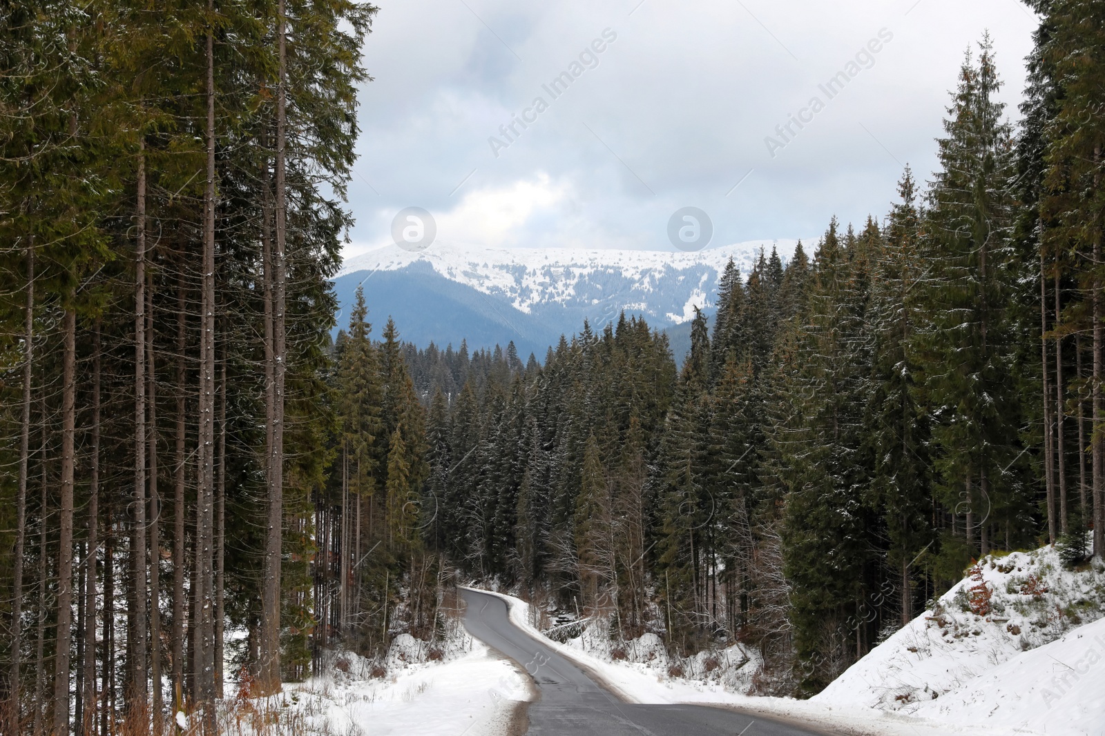 Photo of Mountain landscape with asphalt road and forest after snow storm