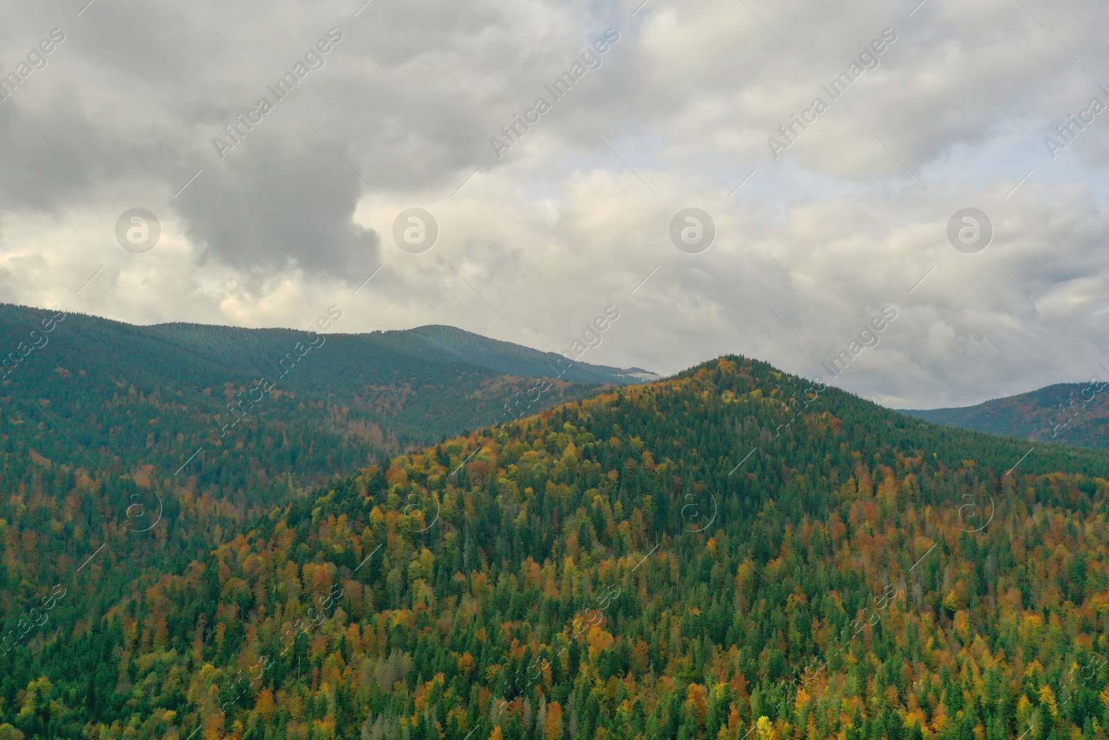 Photo of Aerial view of beautiful forest in mountains on autumn day