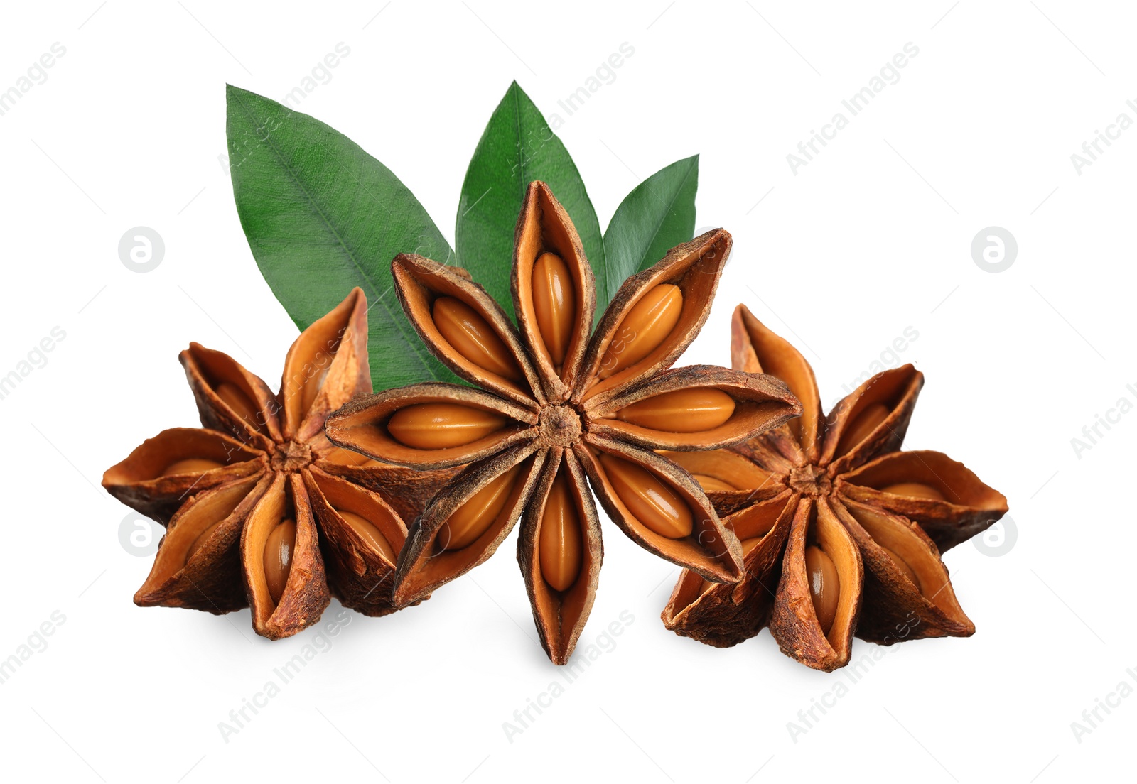 Image of Aromatic dry anise stars and green leaves on white background