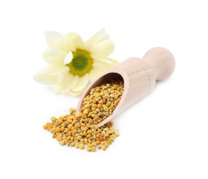 Scoop with fresh bee pollen granules and flower isolated on white