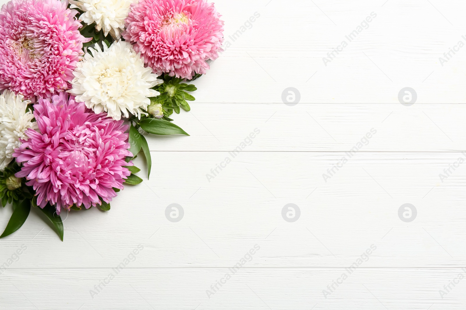 Photo of Beautiful asters and space for text on white wooden background, flat lay. Autumn flowers