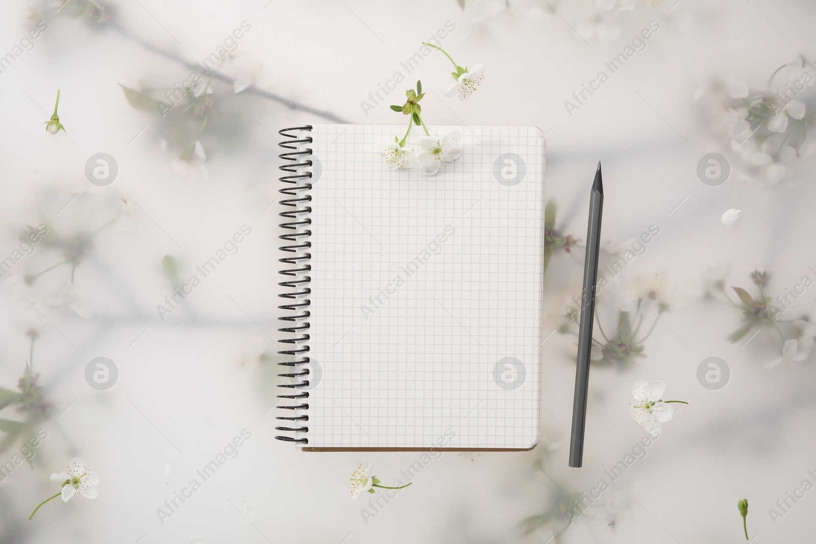 Photo of Guest list. Notebook, pencil and beautiful cherry tree blossoms on spring floral background, flat lay