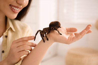 Photo of Woman holding striped knee tarantula at home, closeup. Exotic pet