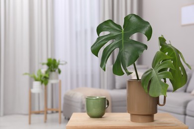Photo of Ceramic vase with tropical leaves on wooden table in living room. Space for text