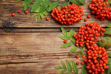 Photo of Fresh ripe rowan berries and green leaves on wooden table, flat lay. Space for text