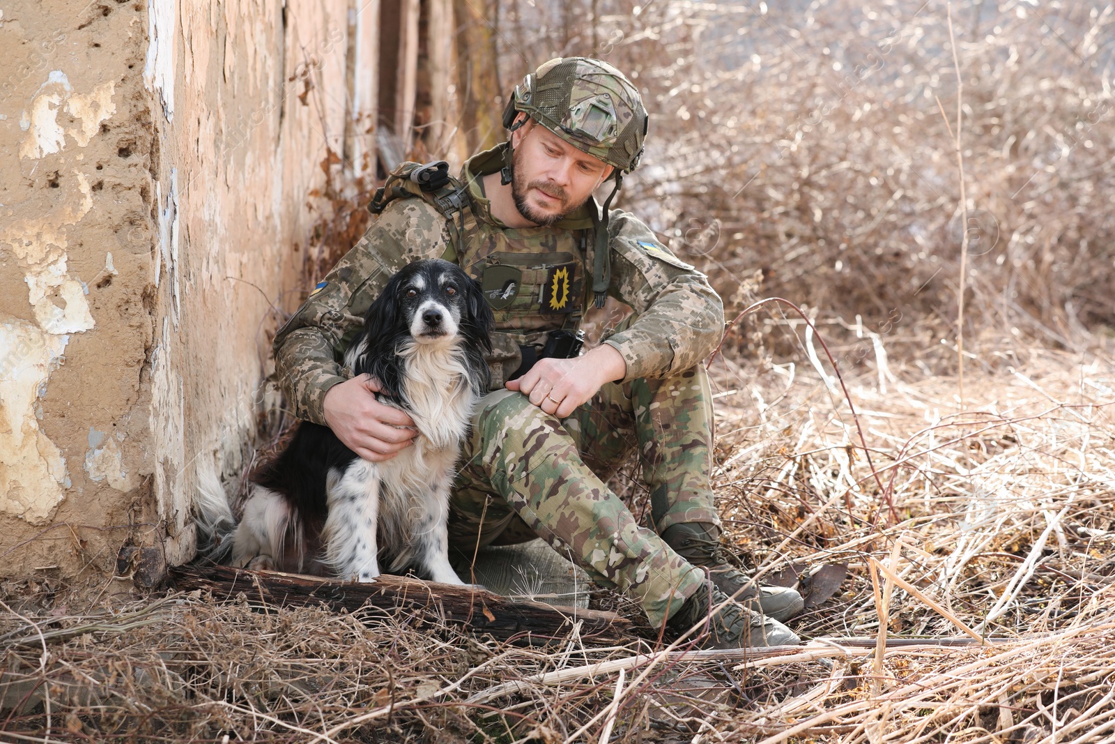 Photo of Ukrainian soldier with stray dog sitting outdoors