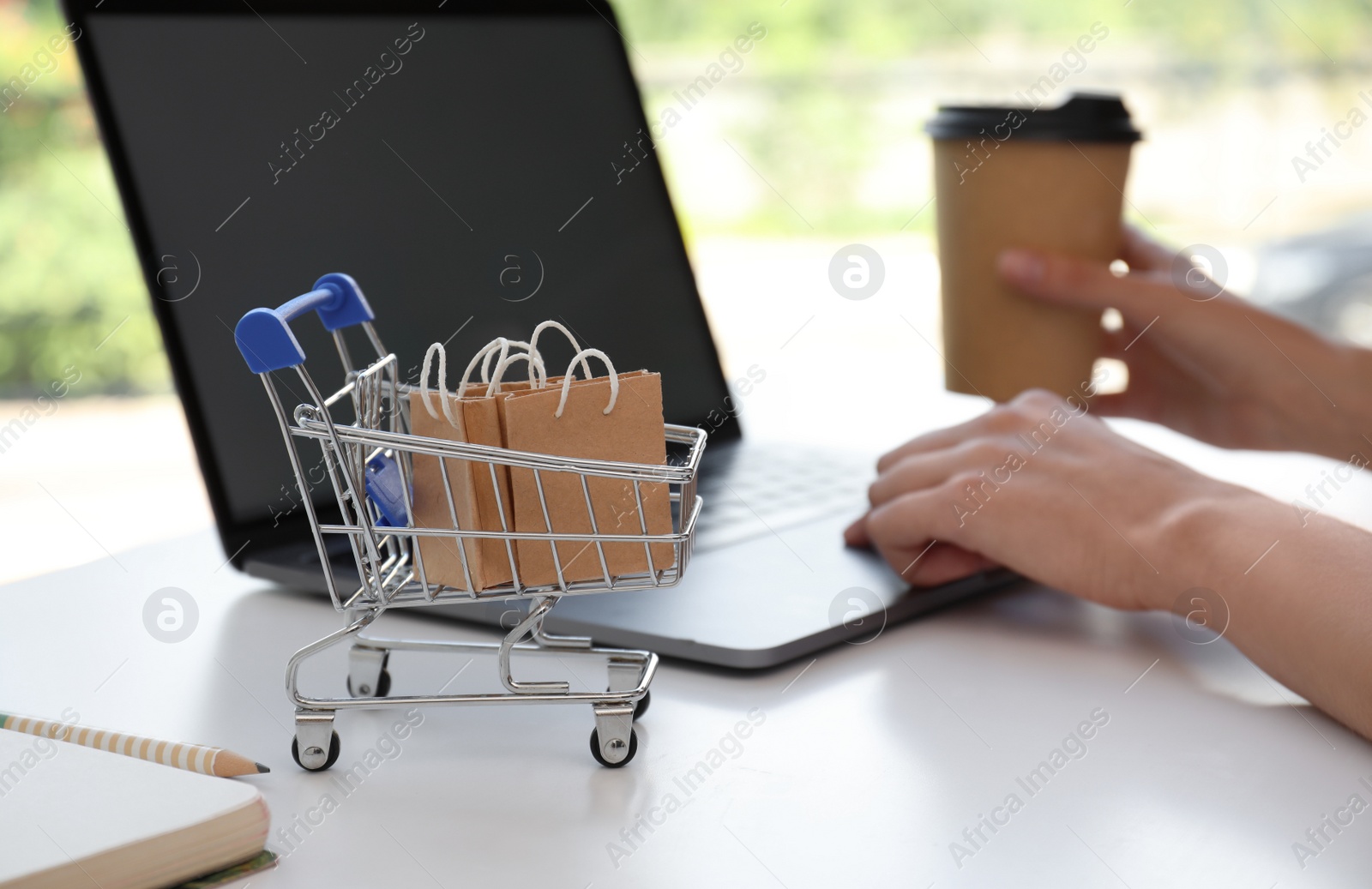Photo of Internet shopping. Small cart with bags near woman using laptop indoors