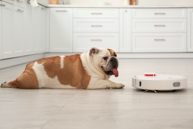 Robotic vacuum cleaner and adorable dog on floor in kitchen