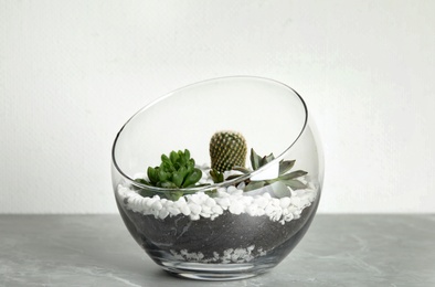 Glass florarium with different succulents on table against white background