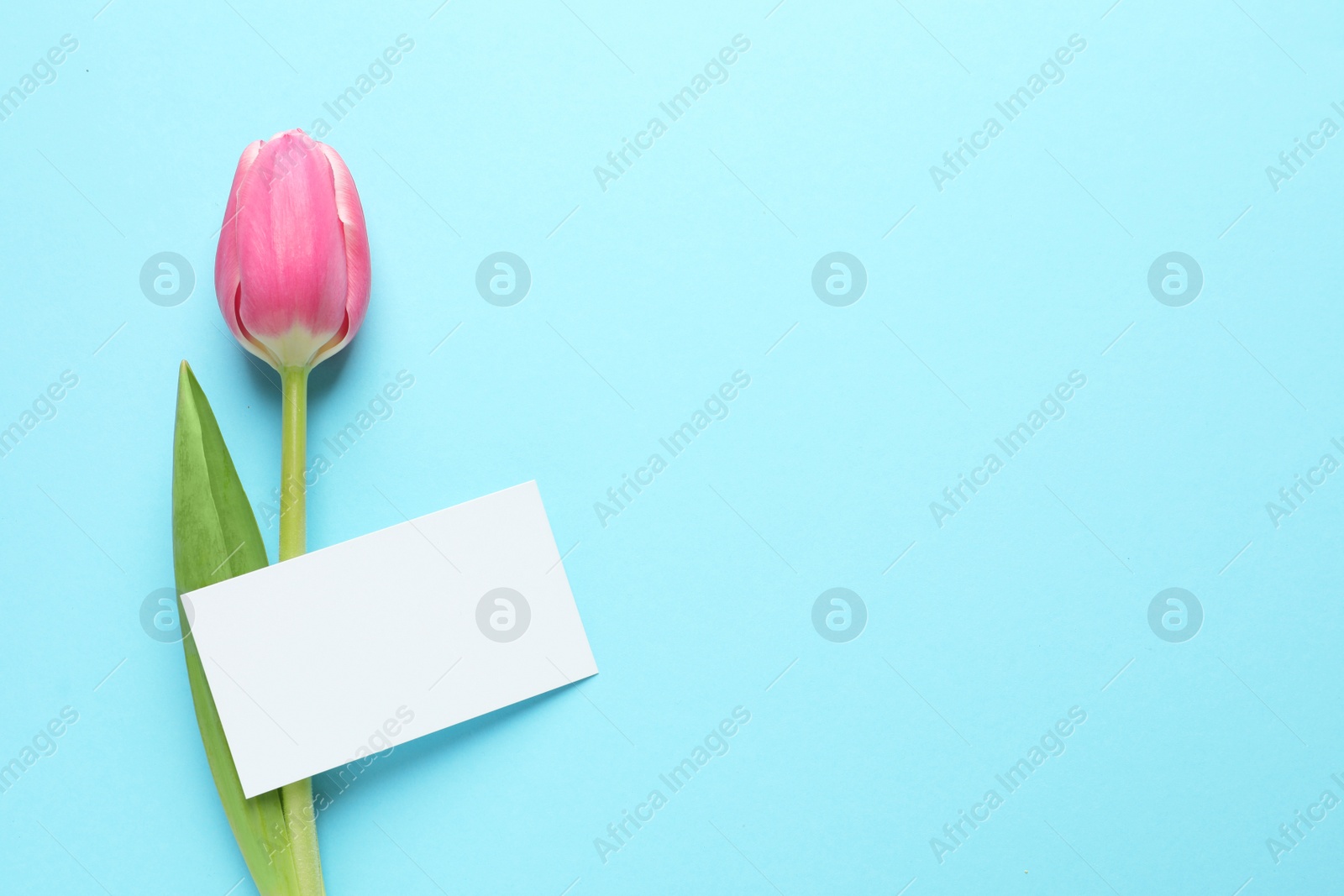 Photo of Beautiful spring tulip and card on color background, top view with space for text. International Women's Day