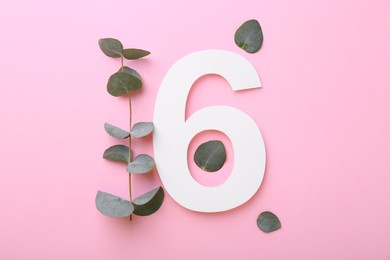 Paper number 6 and eucalyptus leaves on pink background, flat lay