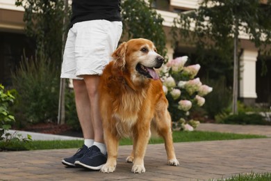 Photo of Owner walking with his golden retriever on city street, closeup
