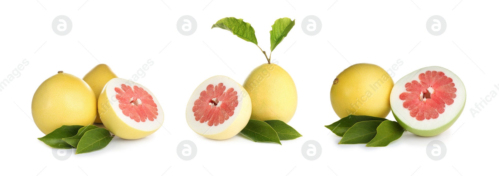 Image of Set of fresh exotic pomelo fruits on white background. Banner design