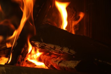 Photo of Bonfire with burning firewood on dark background, closeup