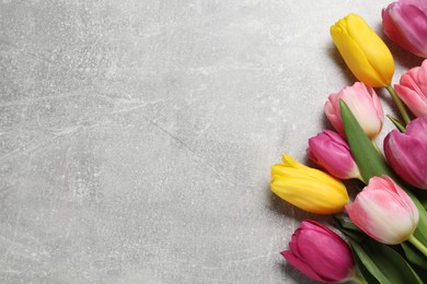 Photo of Beautiful colorful tulip flowers on grey table, flat lay. Space for text