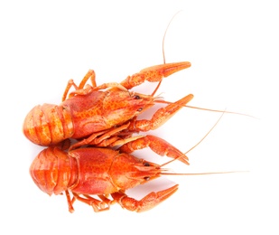 Delicious boiled crayfishes isolated on white, top view