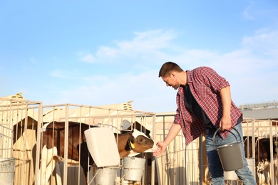 Photo of Worker stroking cute little calf on farm. Animal husbandry