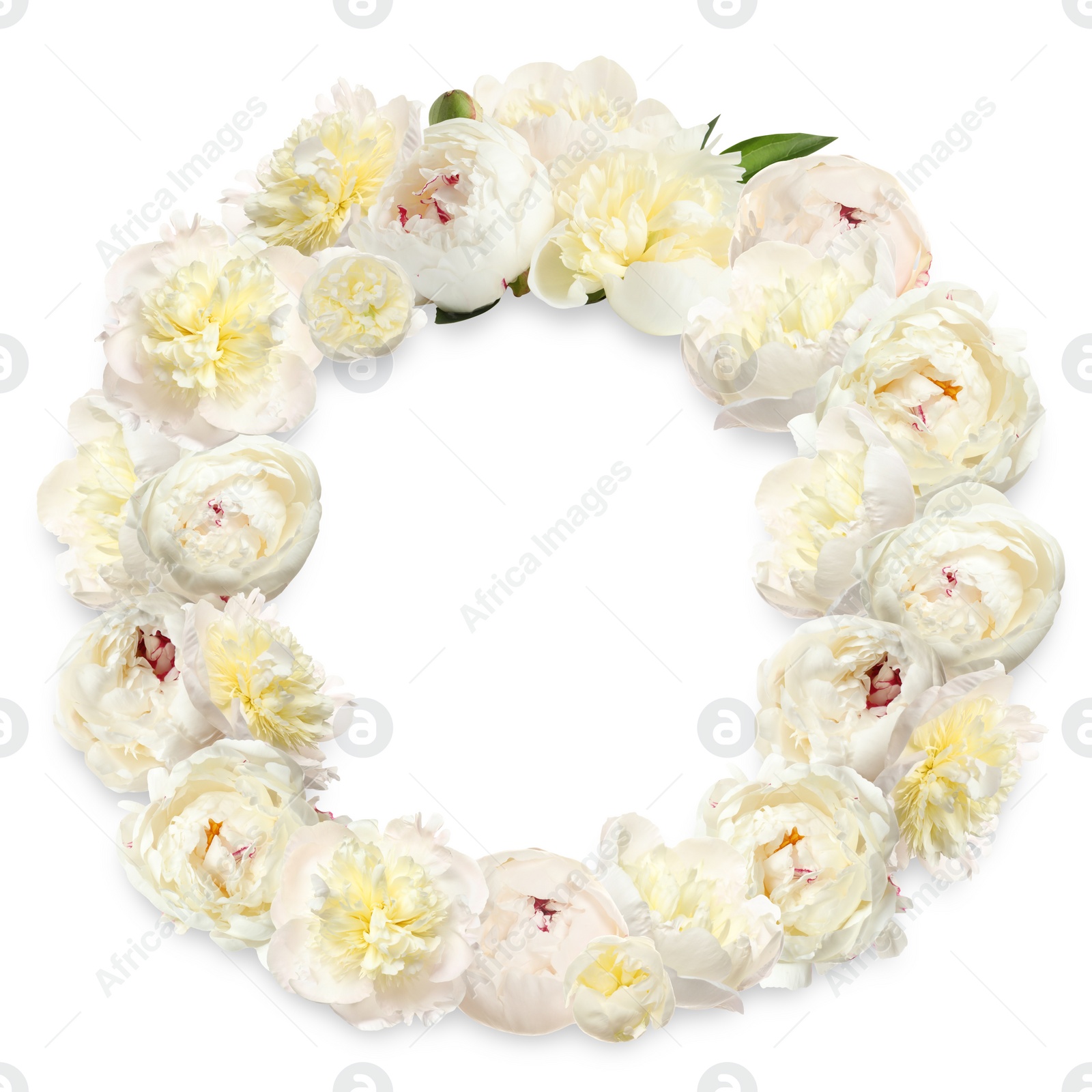 Image of Wreath made of beautiful flowers on white background