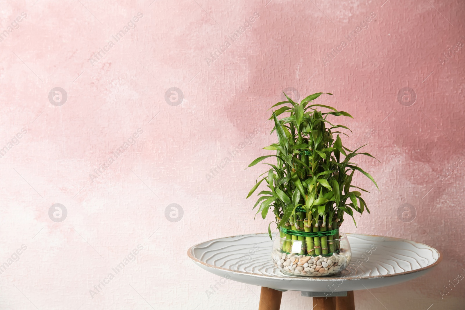 Photo of Green bamboo in glass bowl on table. Space for text