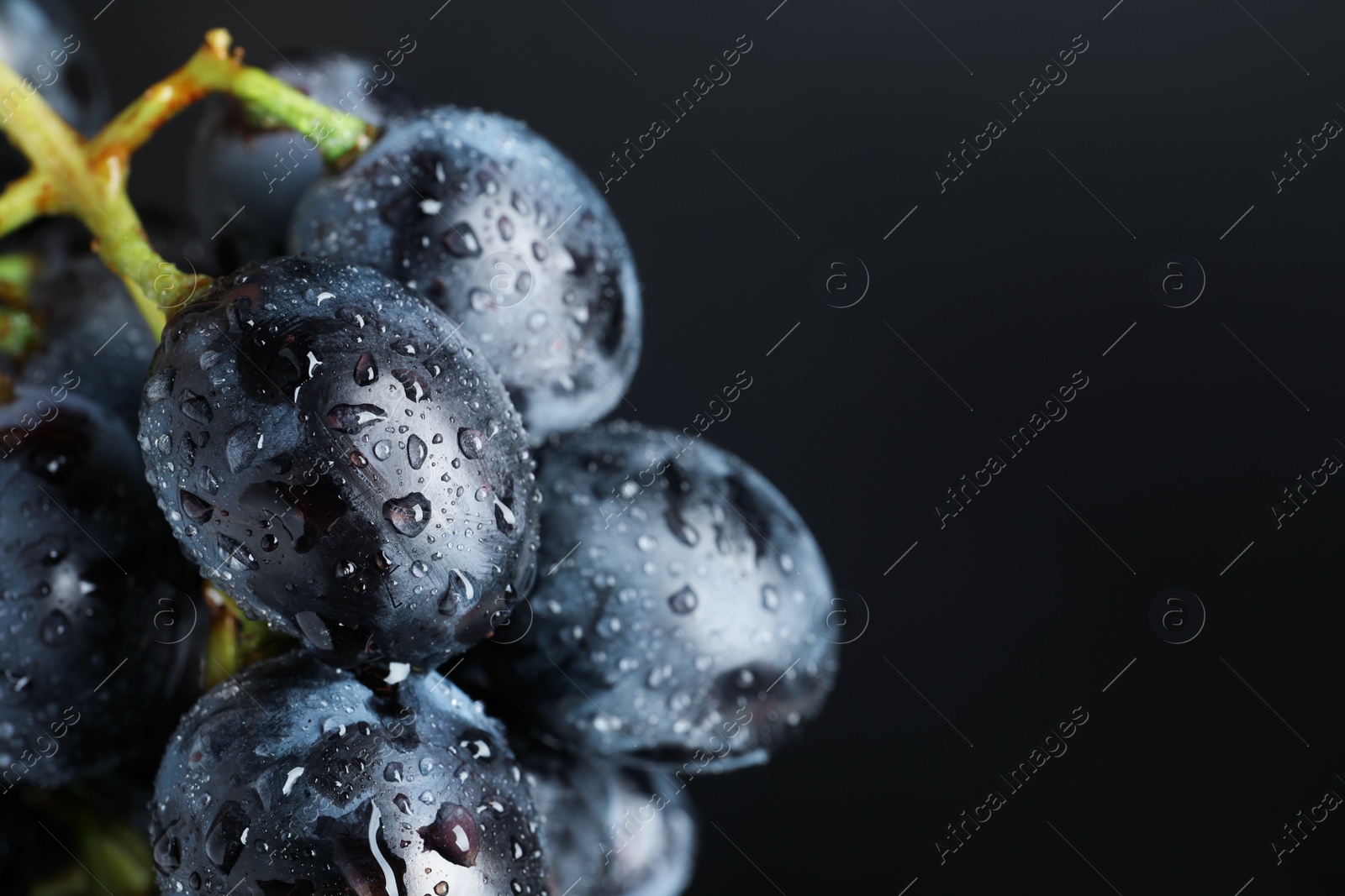 Photo of Bunch of fresh ripe juicy grapes as background, closeup