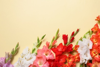 Photo of Flat lay composition with beautiful gladiolus flowers on yellow background. Space for text