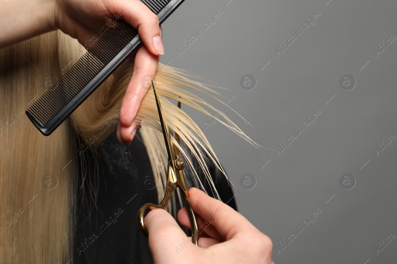 Photo of Hairdresser cutting client's hair with scissors on light grey background, closeup. Space for text