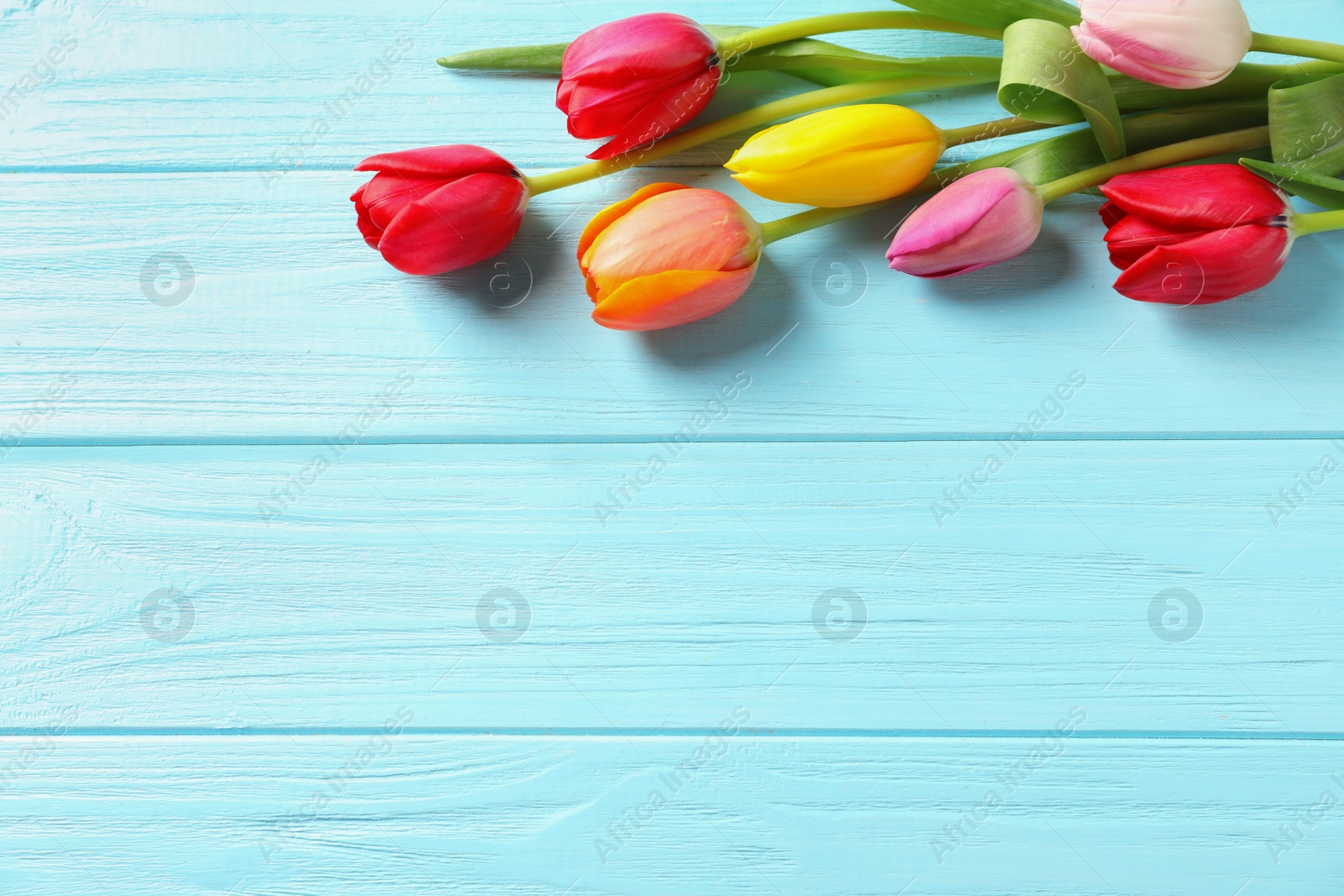 Photo of Beautiful tulips and space for text on wooden background, top view. Spring flowers