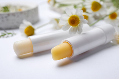 Photo of Hygienic lipsticks and chamomile flowers on white background, closeup