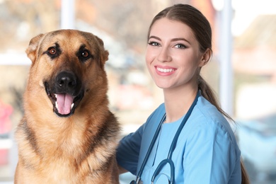 Photo of Veterinarian doc with dog in animal clinic