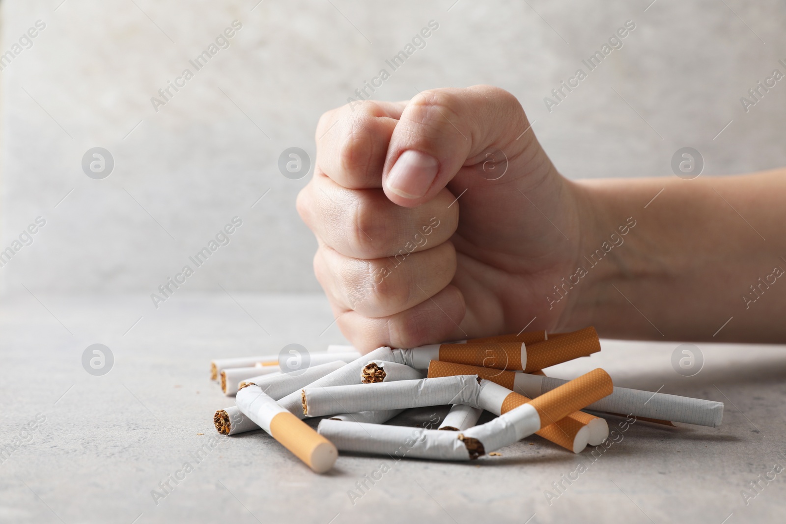 Photo of Stop smoking. Woman crushing cigarettes at grey table, closeup. Space for text