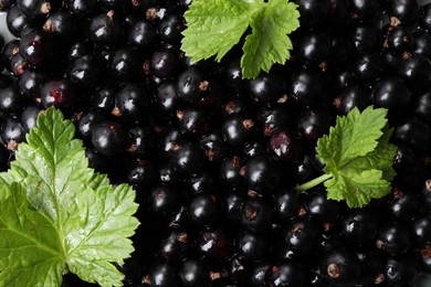 Many ripe blackcurrants and leaves as background, closeup