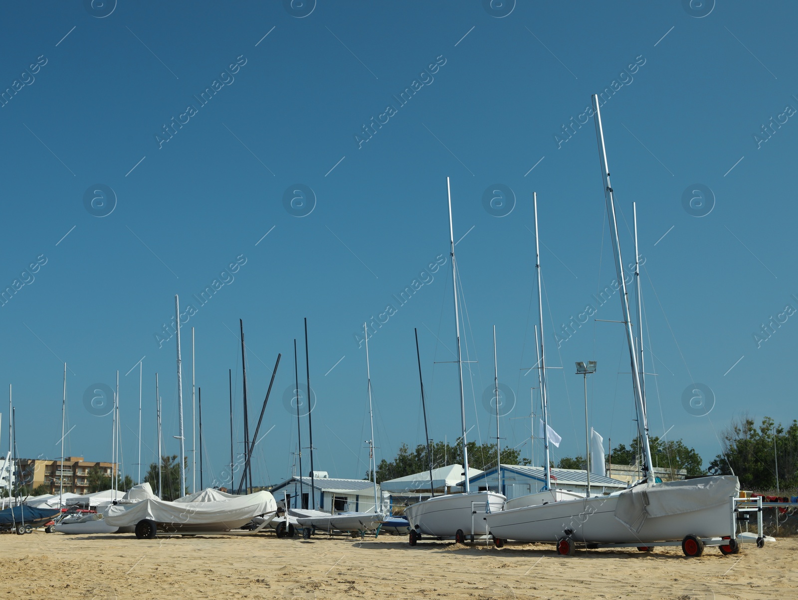 Photo of Seacoast with modern boats on sunny day