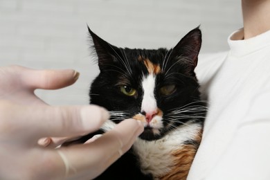 Photo of Veterinarian examining cute cat with corneal opacity on blurred background, closeup