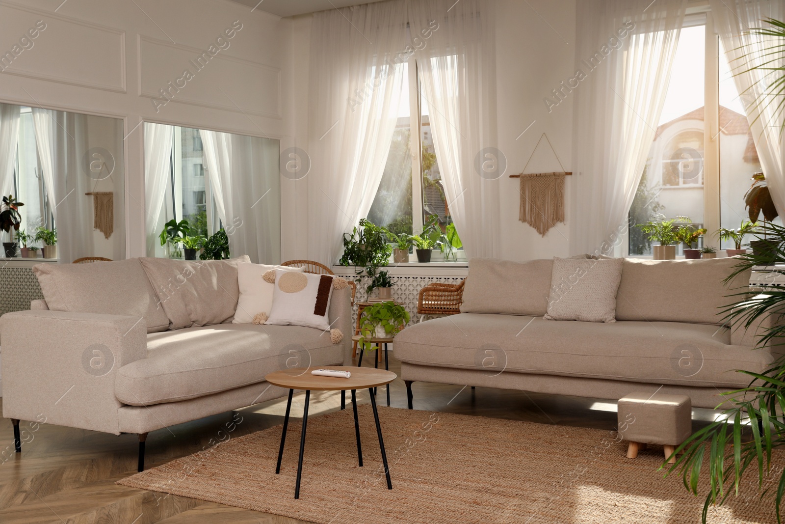 Photo of Stylish living room with comfortable sofas and beautiful houseplants