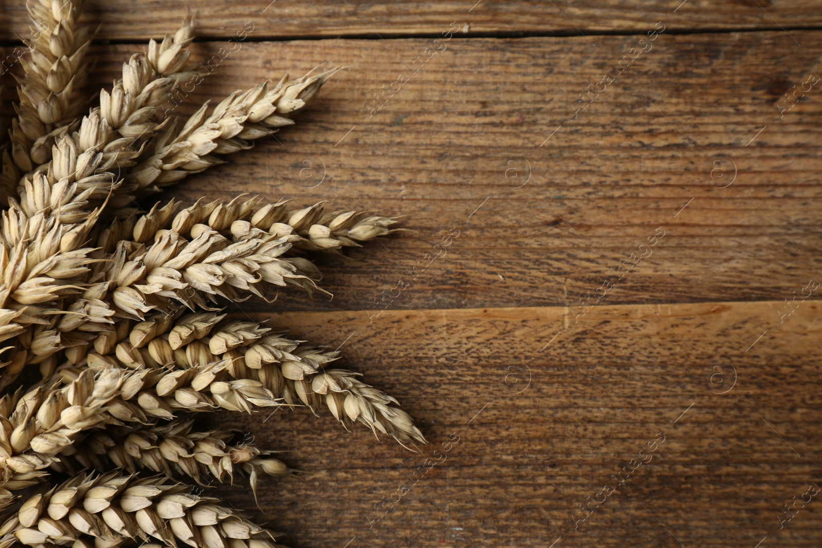 Photo of Ears of wheat on wooden table, top view. Space for text