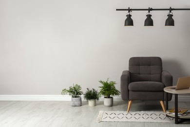Soft armchair and plants on floor near wall in room, space for text. Interior design