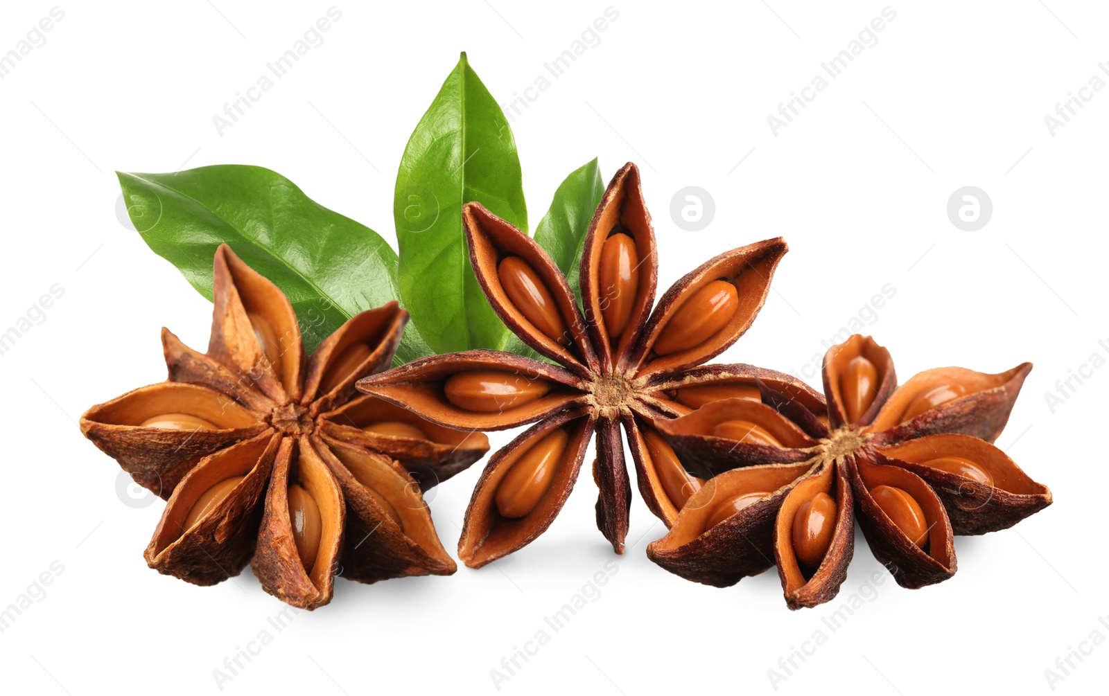 Image of Aromatic dry anise stars and green leaves on white background