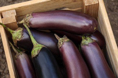Ripe eggplants in wooden crate outdoors, closeup