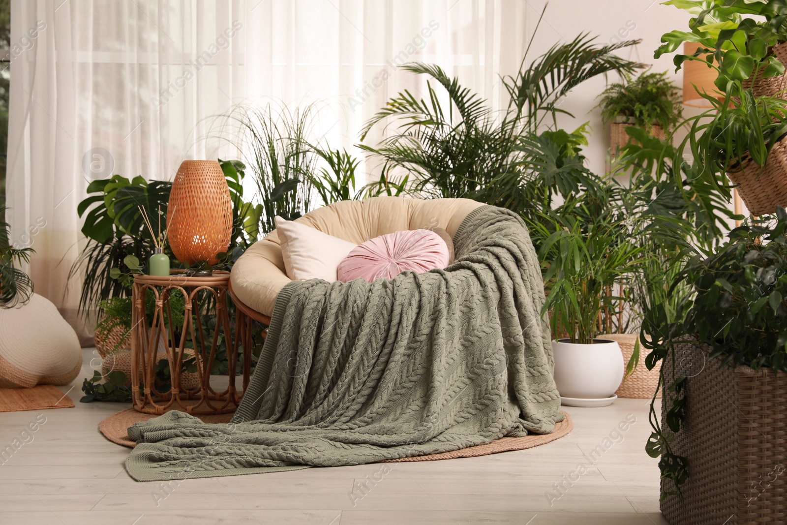 Photo of Indoor terrace interior with soft papasan chair and green plants