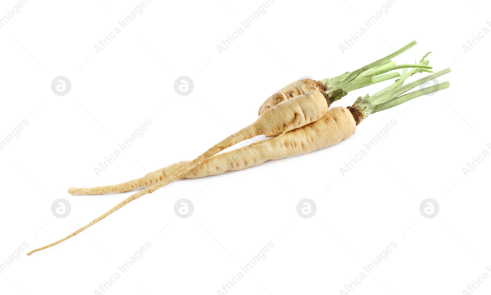 Photo of Tasty fresh ripe parsnips on white background