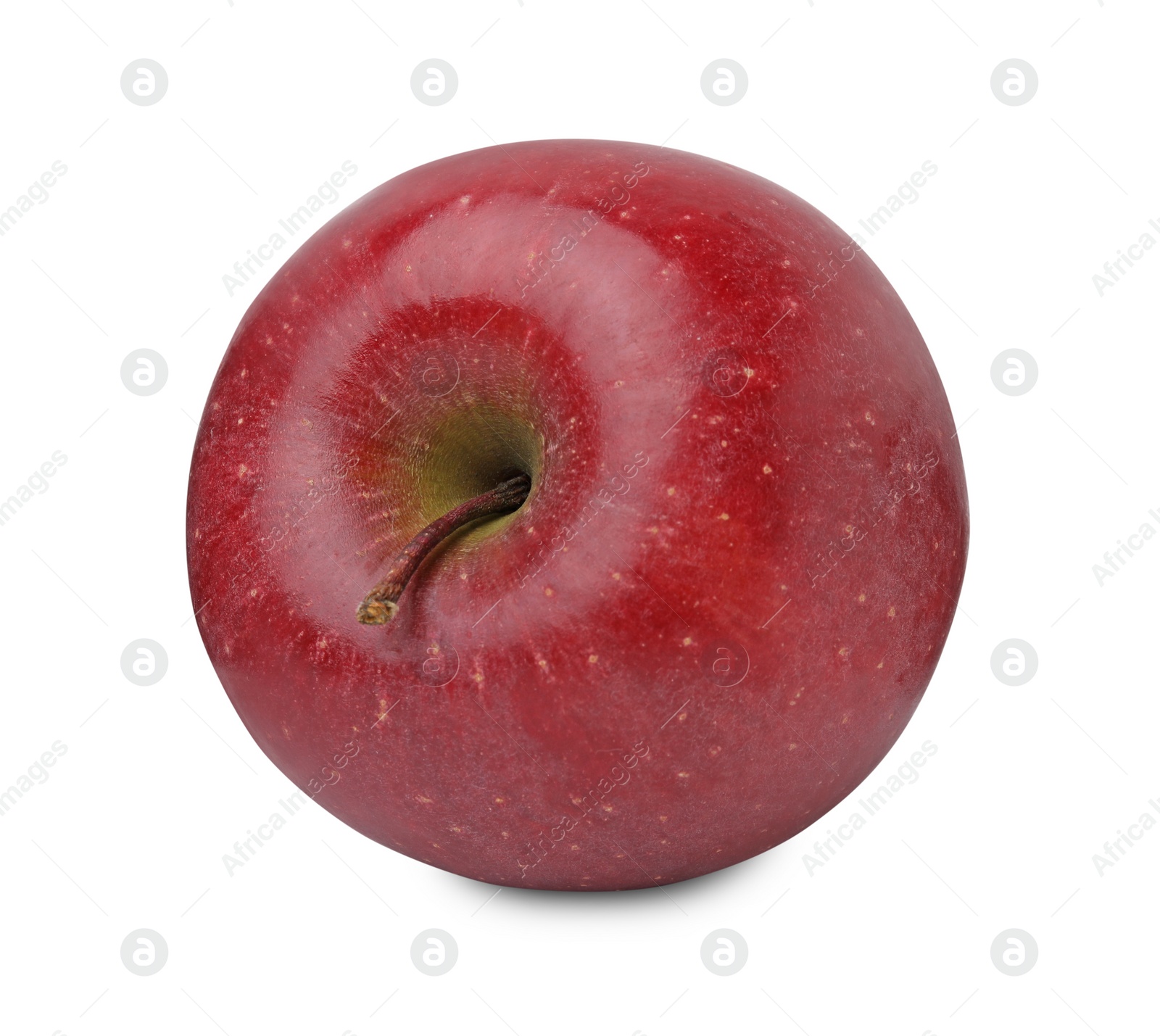 Photo of Whole ripe red apple isolated on white