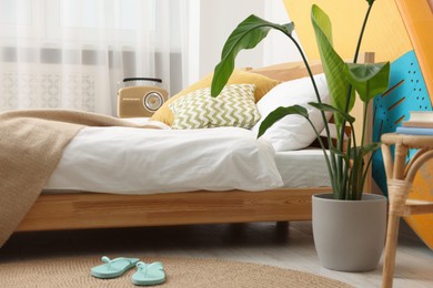Large comfortable bed, SUP board and green houseplant in stylish bedroom. Interior element