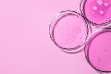 Petri dishes with different samples on pink background, top view. Space for text. Laboratory glassware