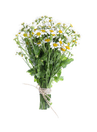 Beautiful fresh chamomile bouquet isolated on white